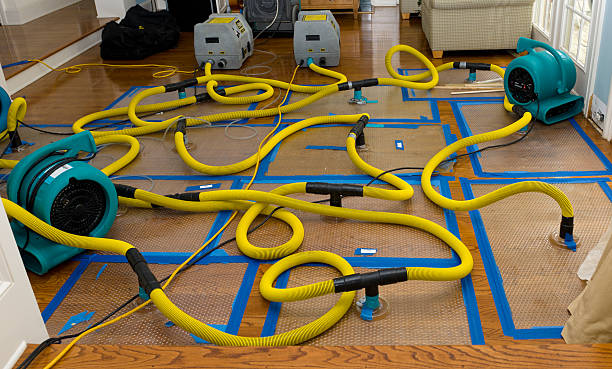 Professional Water Damage Repair technician working in Dublin, TX